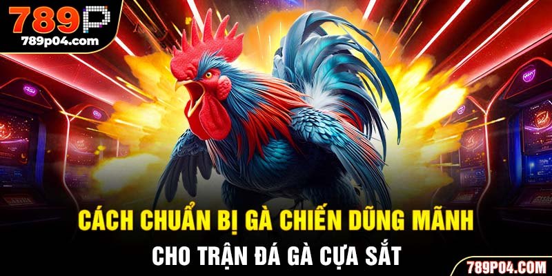 Cách chuẩn bị gà chiến dũng mãnh cho trận đá gà cựa sắt