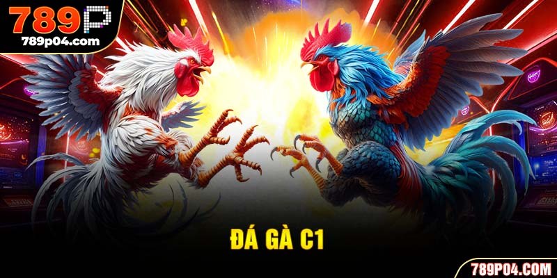 đá gà C1