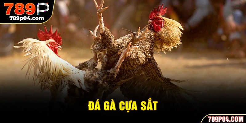 Đá Gà Cựa Sắt