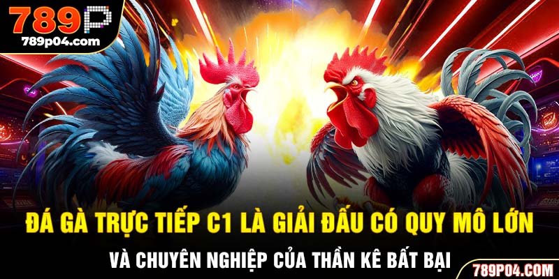 Đá gà trực tiếp C1 là giải đấu có quy mô lớn và chuyên nghiệp của thần kê bất bại