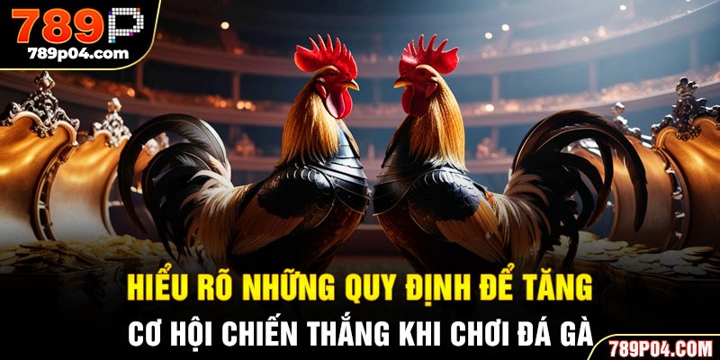 Hiểu rõ những quy định để tăng cơ hội chiến thắng khi chơi đá gà