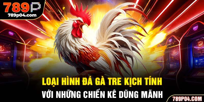 Loại hình đá gà tre kịch tính với những chiến kê dũng mãnh
