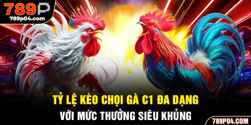 Tỷ lệ kèo chọi gà C1 đa dạng với mức thưởng siêu khủng